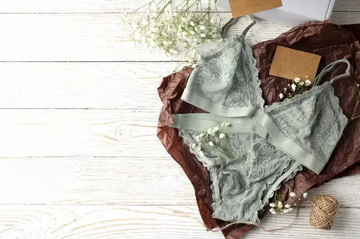 Tips Mencuci Pakaian Dalam Dan Lingerie Supaya Nggak Melar Dan Sobek