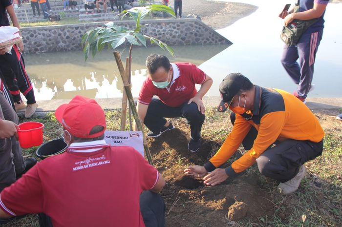 Pemprov Bali Ajak Masyarakat Bangun Budaya Hijaukan Lingkungan Sonora Id