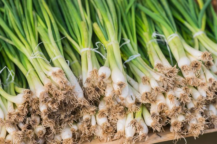 Manfaat Daun Bawang Bagi Kesehatan Ternyata Baik Untuk Jantung