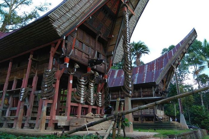 10 Keunikan Rumah Adat Tongkonan Khas Toraja Sulawesi Selatan