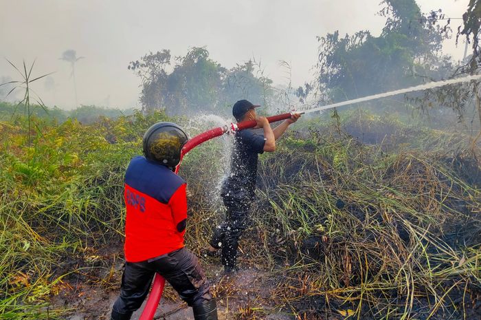 Berjibaku Padamkan Karhutla Dua Personel BPBD Banjarmasin Tumbang