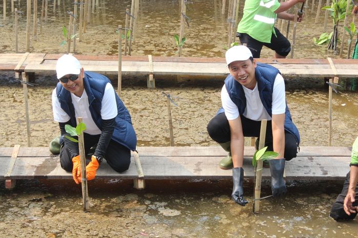 Penanaman Pohon Mangrove Oleh BRI Life Untuk Mengurangi Emisi Karbon Di