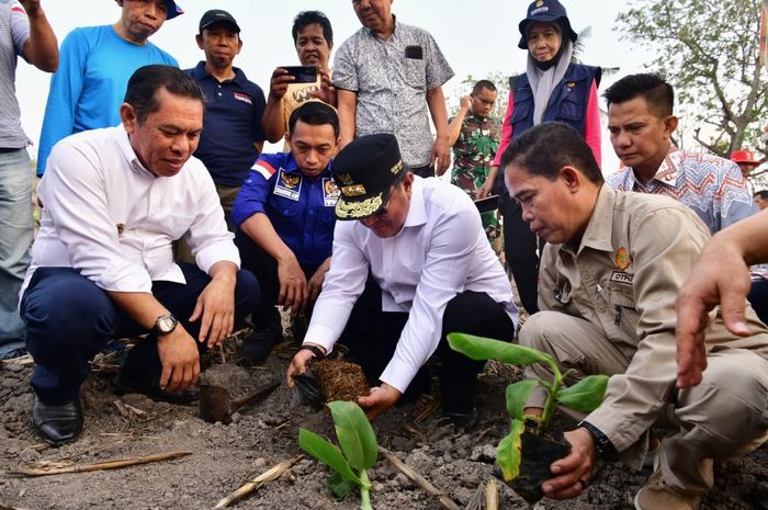 Dukung Ketahanan Pangan Sidrap Siapkan Hektar Lahan Untuk