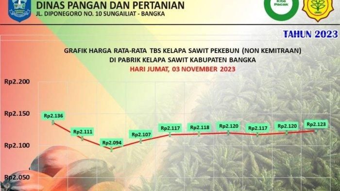 Naik Perlahan Ini Harga Tbs Sawit Terkini Di Perusahaan Pengelola