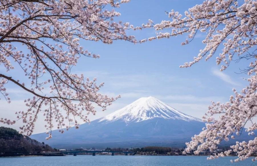 Ini 8 Tempat Terbaik Untuk Melihat Keindahan Gunung Fuji Di Jepang