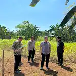 Wali Kota Makassar Tinjau Lahan 20 Hektare di Manggala, Disiapkan Jadi Taman Kota dan Sarana Olahraga