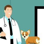 Usaha Pet Care Menjamur, BSN Tetapkan SNI Pelayanan Kesehatan Hewan