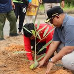 Akselerasi Serambi Nusantara 'Beautifikasi Coastal Road' sebagai Sistem Ruang Terbuka Hijau