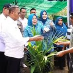 Peluncuran Program Ketahanan Pangan 2025: Pemkot Prabumulih Tanam Jagung di Desa Rambang Senuling