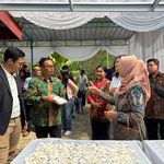 BRI Life Dorong Daya Saing dan Peningkatan Nilai Produksi Singkong  Melalui Rumah Produksi dan Pemasaran UMKM  di Desa Gayamharjo, Sleman