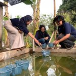 Dukung Pertanian Berkelanjutan, Mahasiswa MMD UB Kenalkan Aquaponik Berbasis Potensi Lokal di Dusun Aran-Aran