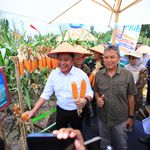 Gubernur Herman Deru Dorong Peningkatan Produksi Pertanian, Sumsel Masuk 5 Besar Nasional