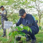 Mitigasi Perubahan Iklim, PT Timah Tbk Lakukan Program 1000 Pohon Untuk Negeri