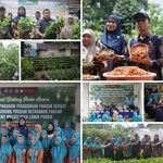 Panen Sayur P2B di Lubuk Pabrik: KWT Melati Sukses Dukung Ketahanan Pangan Desa