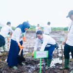 Dukung Energi Bersih, PLN UIW Babel Tanam 10.000 Bibit Pohon Kaliandra melalui Program TJSL di Belitung Timur
