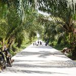 Pontianak Utara Fokus Pembangunan Infrastruktur