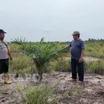 Alih Fungsi Sawah di Bangka Selatan Dosorot DPRD BAbel, Rina Tarol Desak Penegakan Hukum  