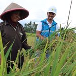 PLN UID S2JB Raih Platinum Nusantara CSR Awards 2026, Electrifying Agriculture Dorong Ketahanan Pangan