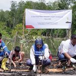 PALUH ASRI Ubah Kawasan Dapur Arang di Langkat Menjadi Pusat Konservasi Mangrove dan Keanekaragaman Hayati