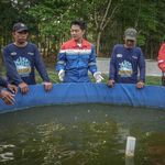 Kilang Plaju Konsisten Lestarikan Keanekaragaman Hayati, dari Konservasi Rusa Sambar hingga 21 Ribu Mangrove
