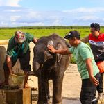 Kilang Plaju Dukung Konservasi Gajah Sumatera di Sumsel, Rawat Warisan Alam