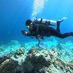 Dorong Ekonomi Biru, Maluku Perkuat Konservasi Laut Berbasis Sains