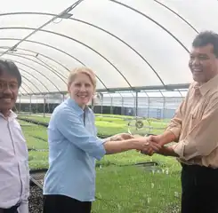 Dukung Target Swasembada Gula, Barantin Pastikan Ketertelusuran Benih Gula Asal 