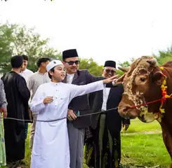 Salat Iduladha di Masjid Kubah 99, Sekda Sulsel Saksikan Penyerahan Sapi Kurban Bantuan Presiden