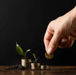 3 Tahapan Penting Sebelum Memilih Instrumen Investasi di 2025