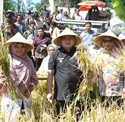 Wali Kota Makassar Ajak Warga Manfaatkan Lahan Sempit untuk Pertanian