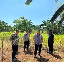 Wali Kota Makassar Tinjau Lahan 20 Hektare di Manggala, Disiapkan Jadi Taman Kota dan Sarana Olahraga