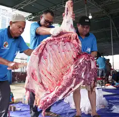 Kilang Plaju Tebar Kepedulian Iduladha 1447 H, Salurkan Lebih dari 5 Ribu Kantong Daging Qurban untuk Masyarakat