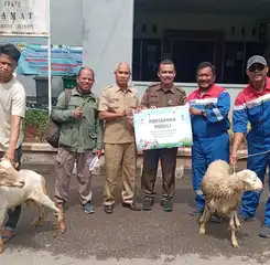Rayakan Iduladha, Pertagas Salurkan 475 Hewan Kurban ke 300 Titik di Wilayah Operasi Perusahaan