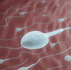7 Kebiasaan Merusak Kualitas Sperma, Masih Yakin Mau Terus Dilakukan?