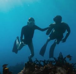 Sinopsis Film 'No Limit' Kisah Cinta tentang Atlet Freediving yang Trending di Netflix!