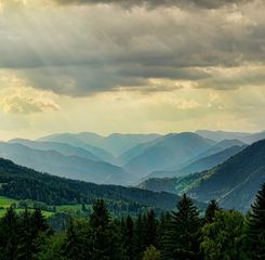 Potensi Sumber Daya Alam Hutan untuk Kelangsungan Hidup Manusia