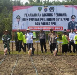 Kolaborasi Pemkab PPU Bersama TNI/Polri Memanfaatkan Lahan Tidur Untuk Mendukung Ketahanan Pangan