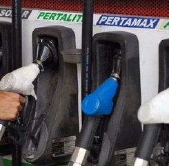 Dengan Bantuan Mesin Conveyor Belt, PELNI Dukung Pengolahan Limbah Kerang Hijau 