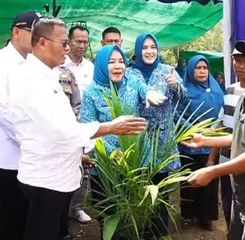 Peluncuran Program Ketahanan Pangan 2025: Pemkot Prabumulih Tanam Jagung di Desa Rambang Senuling