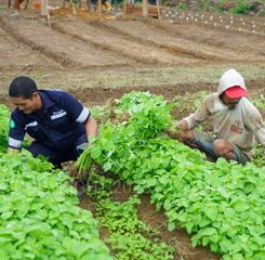 Inisiatif PT Timah Dalam Mendukung Sektor Pertanian, Mendukung untuk Program Ketahanan Pangan