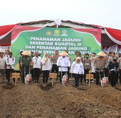 Polda Sumsel Gagas Penanaman Jagung di Lahan Rawan Karhutla, Sekda: Kolaborasi Nyata Wujudkan Ketahanan Pangan