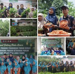 Panen Sayur P2B di Lubuk Pabrik: KWT Melati Sukses Dukung Ketahanan Pangan Desa