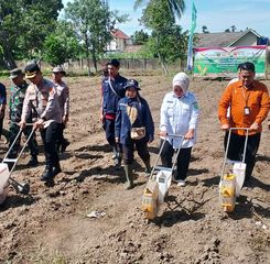 Polri dan Pemkab Muba Sinergi Wujudkan Ketahanan Pangan, Gelar Tanam Jagung Serentak Kuartal IV