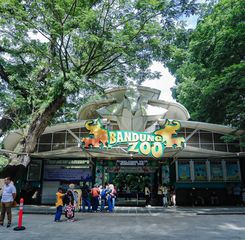 Kebun Binatang Bandung: Ruang Hijau Publik yang Nyaman