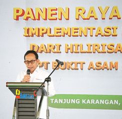 Panen Raya Padi Berbasis Kalium Humat, Bukti Hilirisasi Batubara Dukung Ketahanan Pangan