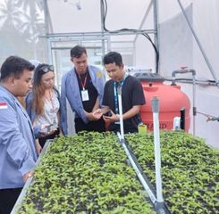 KKI 2026: Transformasi Digital Dorong 150 UMKM Binaan BI Sulut Tembus Pasar Digital hingga Global