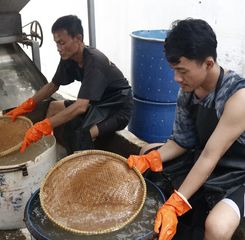 Dukung Ketahanan Pangan, Rutan Cipinang Dorong Kemandirian Warga Binaan Lewat Produksi Tempe