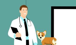 Usaha Pet Care Menjamur, BSN Tetapkan SNI Pelayanan Kesehatan Hewan