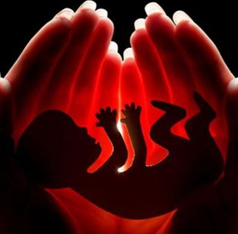Bikin Geger! 7 Janin Hasil Aborsi Disimpan di Kotak Makanan, Polisi Tangkap Pasangan di Makassar!