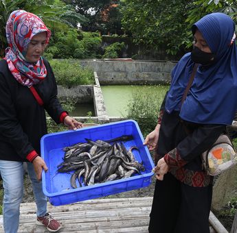 Pemkot Surabaya Dampingi Warga Manfaatkan Lahan BTKD Demi Perkuat Ketahanan Pangan